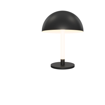 Настольный светильник MAYTONI RAY Z012TL-L8B3K
