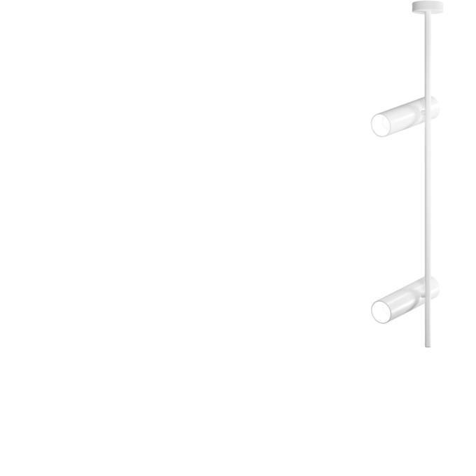 Потолочный светильник MAYTONI ELTI C021CL-02W